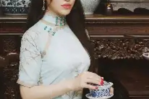 迪拜宠物遭遗弃潮网红却反击：“我只是去度假狗有保姆！”